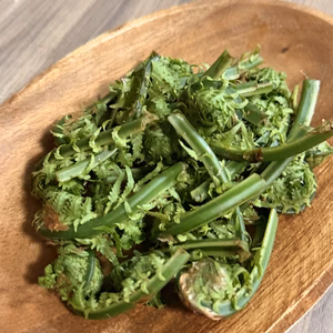 旬をいただく！愛知県豊田市旭産　天然コゴミ 200ｇ