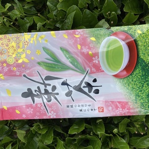新茶‼︎静岡県掛川産 世界農業遺産 深蒸し茶 50g