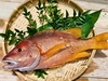 【早い者勝ち！】送料無料！“幻”の超高級魚「シブダイ」（1.2kg)
