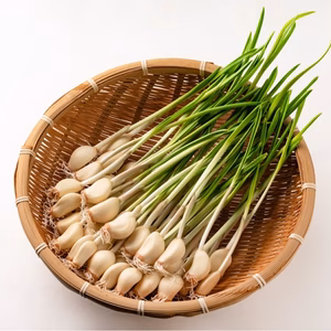 発芽にんにく40個 滋賀県産 お料理にコクがでますよ