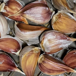 ※数量限定販売【農薬・化学肥料不使用栽培】青森県産 在来種　兼平にんにく　