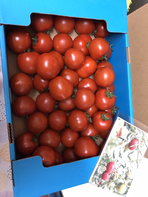 みんなの投稿の画像