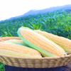 sweets! スイートコーンおまかせセット(黄)