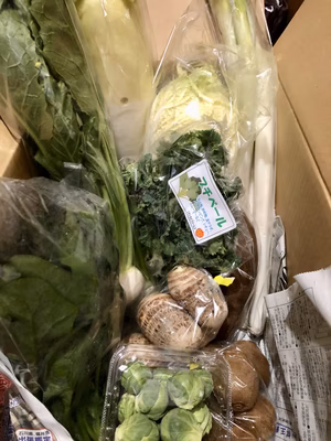 みんなの投稿の画像