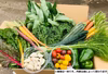 ★大好評★【たてやまかおり菜園】『夏のカラフル野菜セットＭ』クール便