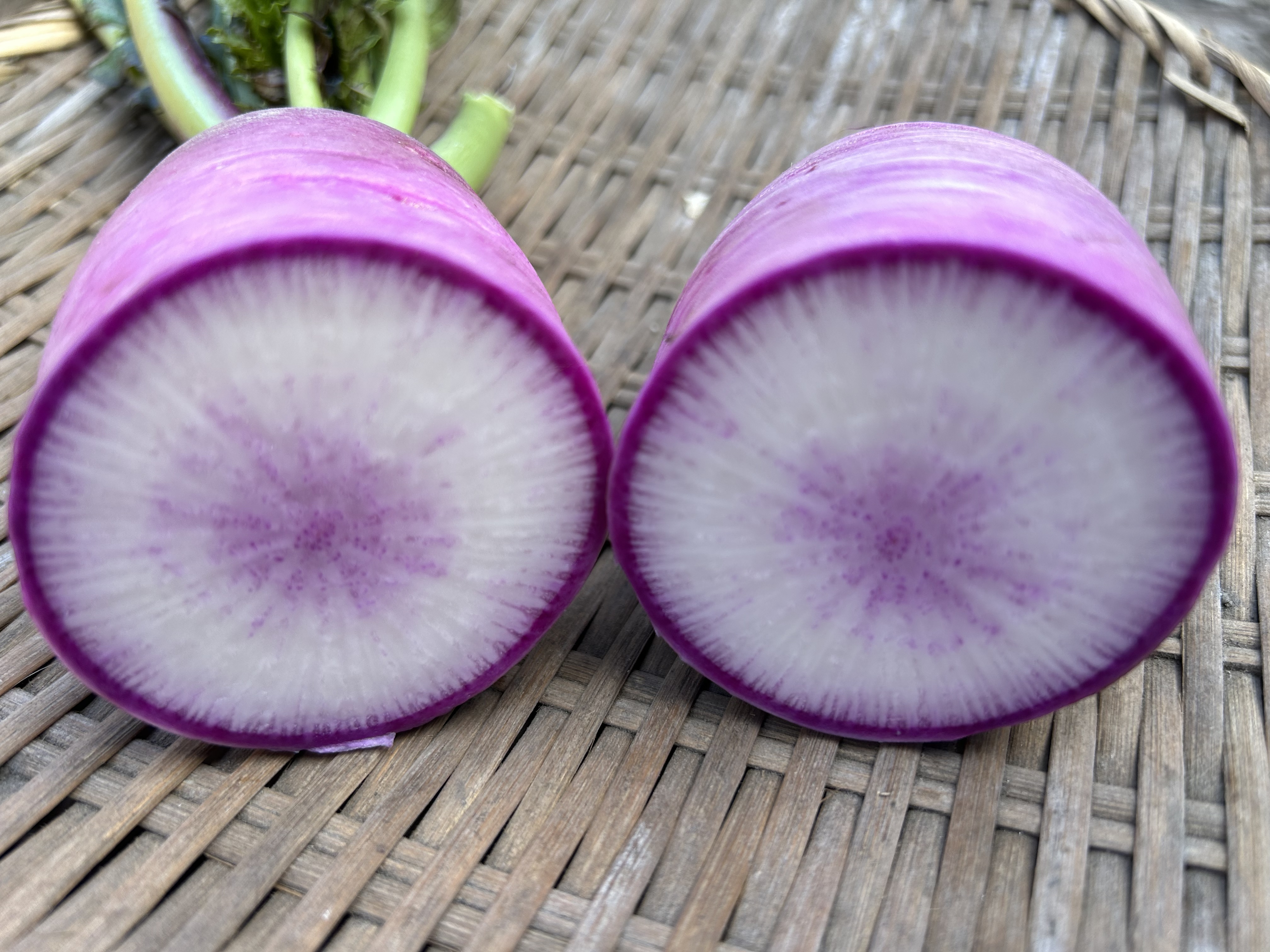 紅芯大根 箱込み2kg 千葉県産 化学農薬不使用 - 野菜