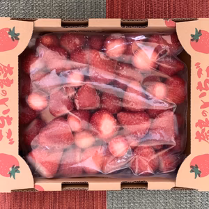 ★冷凍イチゴ　奈良県特産「古都華」1kg ☆冷凍便☆