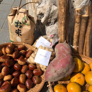 飽きのこない秋の味覚詰め合わせ!!