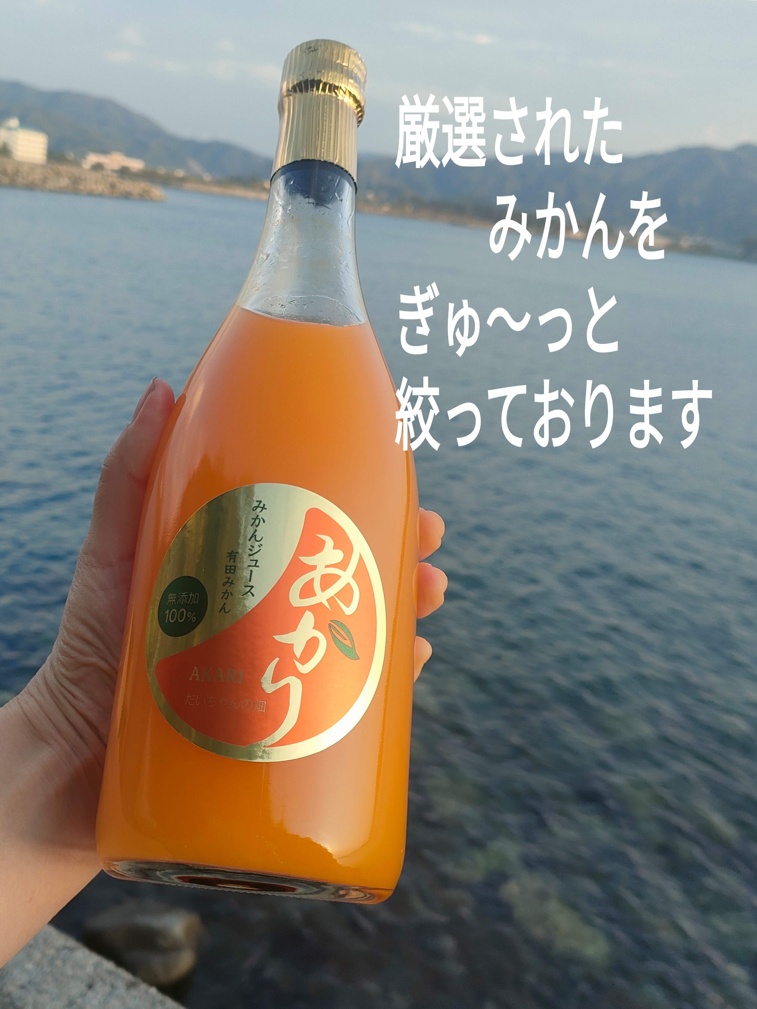 驚異の糖度16度】大ちゃんの畑の濃厚生搾りみかんジュース（720ml×2本