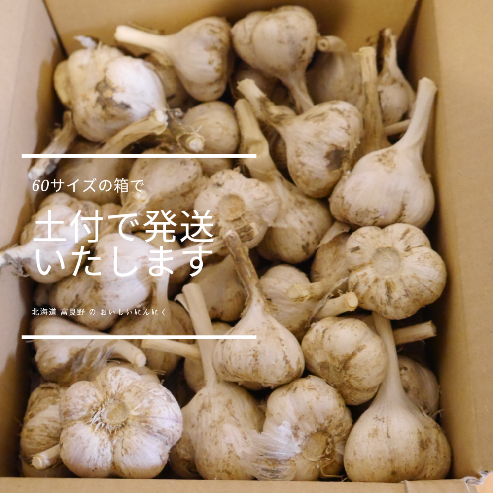 最終値下げ S 免疫力UP青森県ニンニク10キロ - 野菜