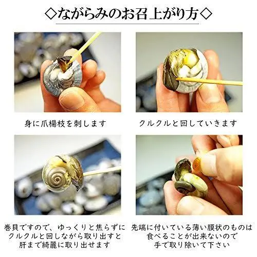 5月予約　砂抜き活ながらみ（まいご）　500g（約40〜50個）〜