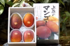 [優品]　沖縄県産マンゴー　2kg 