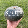 北海道十勝かぼちゃ【くり将軍】北海道十勝芽室町 (数量限定)