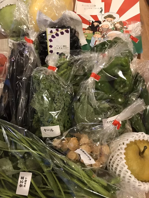 みんなの投稿の画像