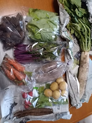 みんなの投稿の画像