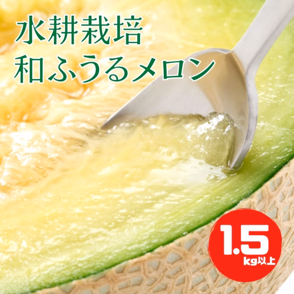 《送料込み》1.0kg以上！水耕栽培 和ふうるメロン　