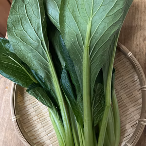 小松菜　2kg