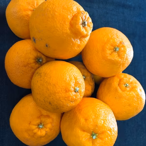 半額!!お徳用訳あり不知火（しらぬい）10ｋｇ