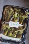 【北国の春】自然栽培　タラの芽 100g入り（大小不揃い）
