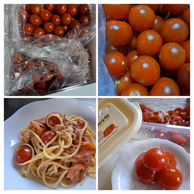 みんなの投稿の画像