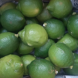 皮も使える広島県産レモン 訳あり品 2kg(約20個入)