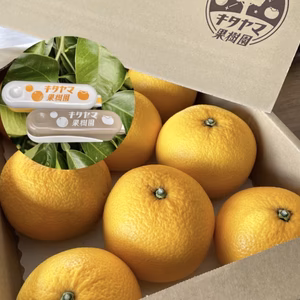 【2月中旬発送】八朔(はっさく) 3.5kg前後 8〜11玉入り　Lサイズ以上