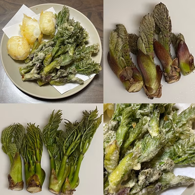 みんなの投稿の画像