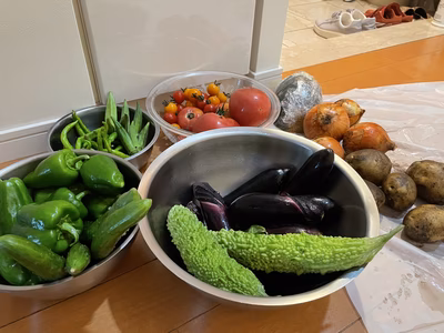 みんなの投稿の画像