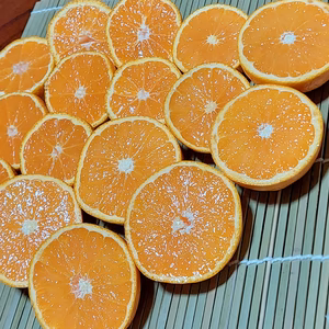 不知火【超 訳あり】極小玉5kg(箱込)