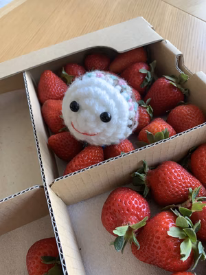 みんなの投稿の画像