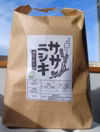 令和6年産　農薬不使用ササニシキ白米10㎏ 有機肥料を使って栽培
