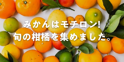 おうちで「みかん🍊」甘いのすっぱいの！？小さいの大きいの！？個性あふれる柑橘類🍹