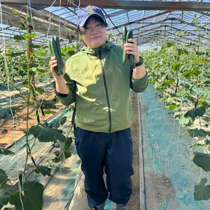 【クール配送/訳あり】3㎏（15〜20本）味や実入りはA級品／朝どれ新鮮きゅうり