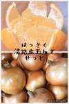 はっさく・淡路玉ねぎセット