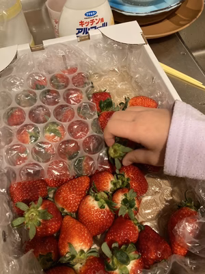 みんなの投稿の画像