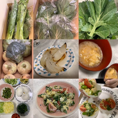 みんなの投稿の画像