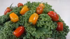 【ちぎりケールとミニトマト】ミニトマトのフラガ～ルとケールのコラボセット