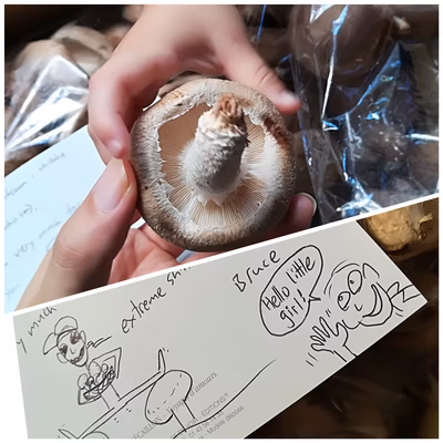 みんなの投稿の画像