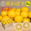 【数量限定】市場にはあまり出回らない、黄かぼす(約５kg・大きめサイズ)