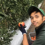 久保田智治 | Village Farm 新里