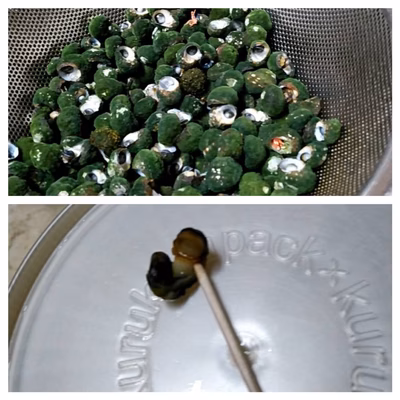 みんなの投稿の画像