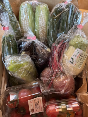 みんなの投稿の画像