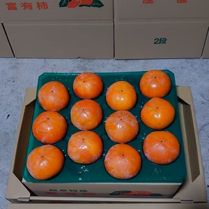 富有柿 2LとL　キズなし　　　贈答可　12個　2800円