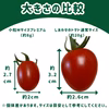 【数量限定】希少なプレミアム小粒Mサイズアイコ◆皮が薄くて甘みダイレクト！