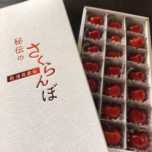 3Lクラス♪ 贈答用　紅秀峰　21粒詰