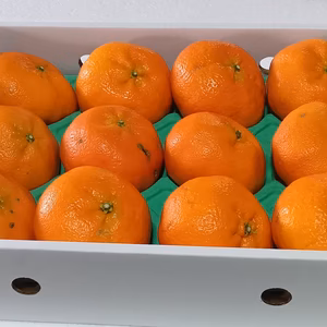 プチプチ甘～い！ひめまる甘平【訳あり・家庭用３Kg】