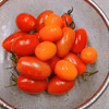 ミニトマト(アイコ）農薬不使用/生食、ピクルス、トマトソースでどうぞ    