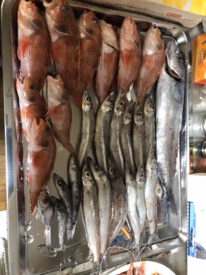 みんなの投稿の画像