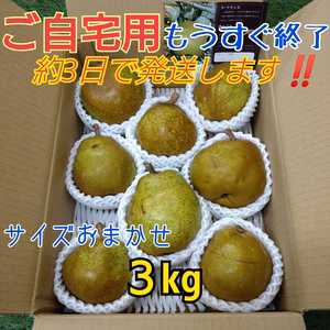 ●ご自宅用●ラ・フランス サイズおまかせ　　【３kg箱詰】