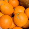 訳あり＊皮まで安心ブラッドオレンジ・タロッコ